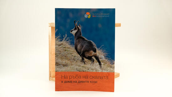 В дома на дивите кози 